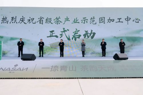 一捺青山茶韻濃，品牌升級煥新生